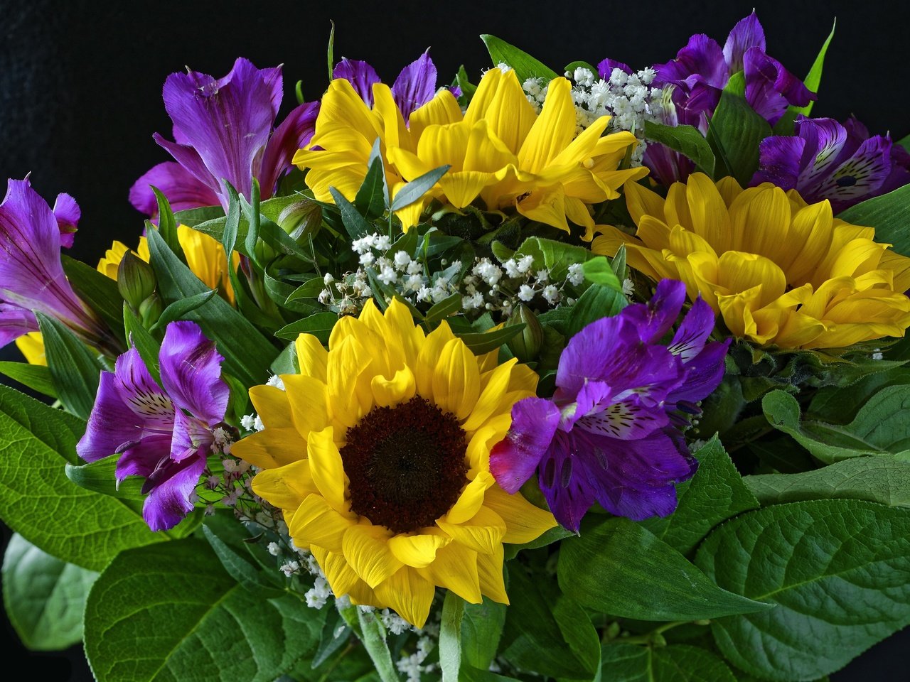 Обои цветы, подсолнух, букет, альстромерия, flowers, sunflower, bouquet, alstroemeria разрешение 3000x2002 Загрузить