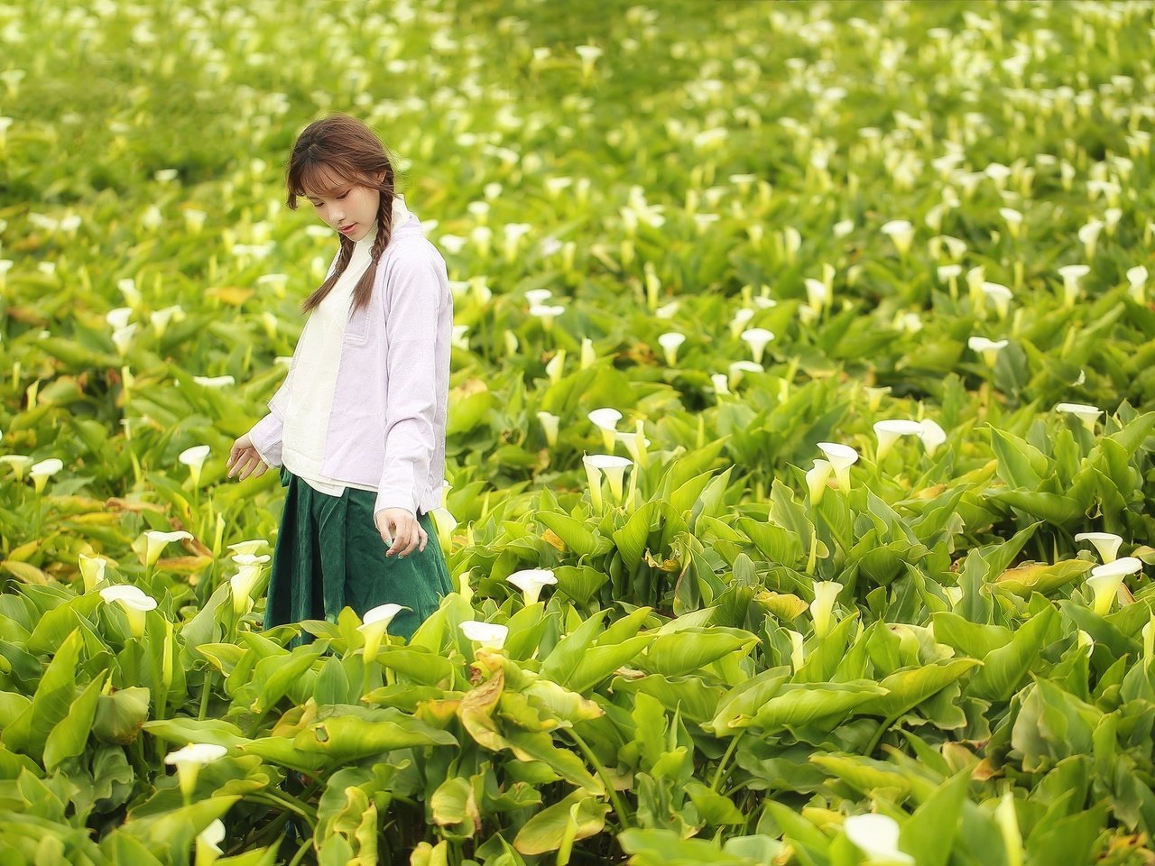 Обои цветы, поле, лето, лицо, прогулка, азиатка, косички, flowers, field, summer, face, walk, asian, braids разрешение 2048x1365 Загрузить