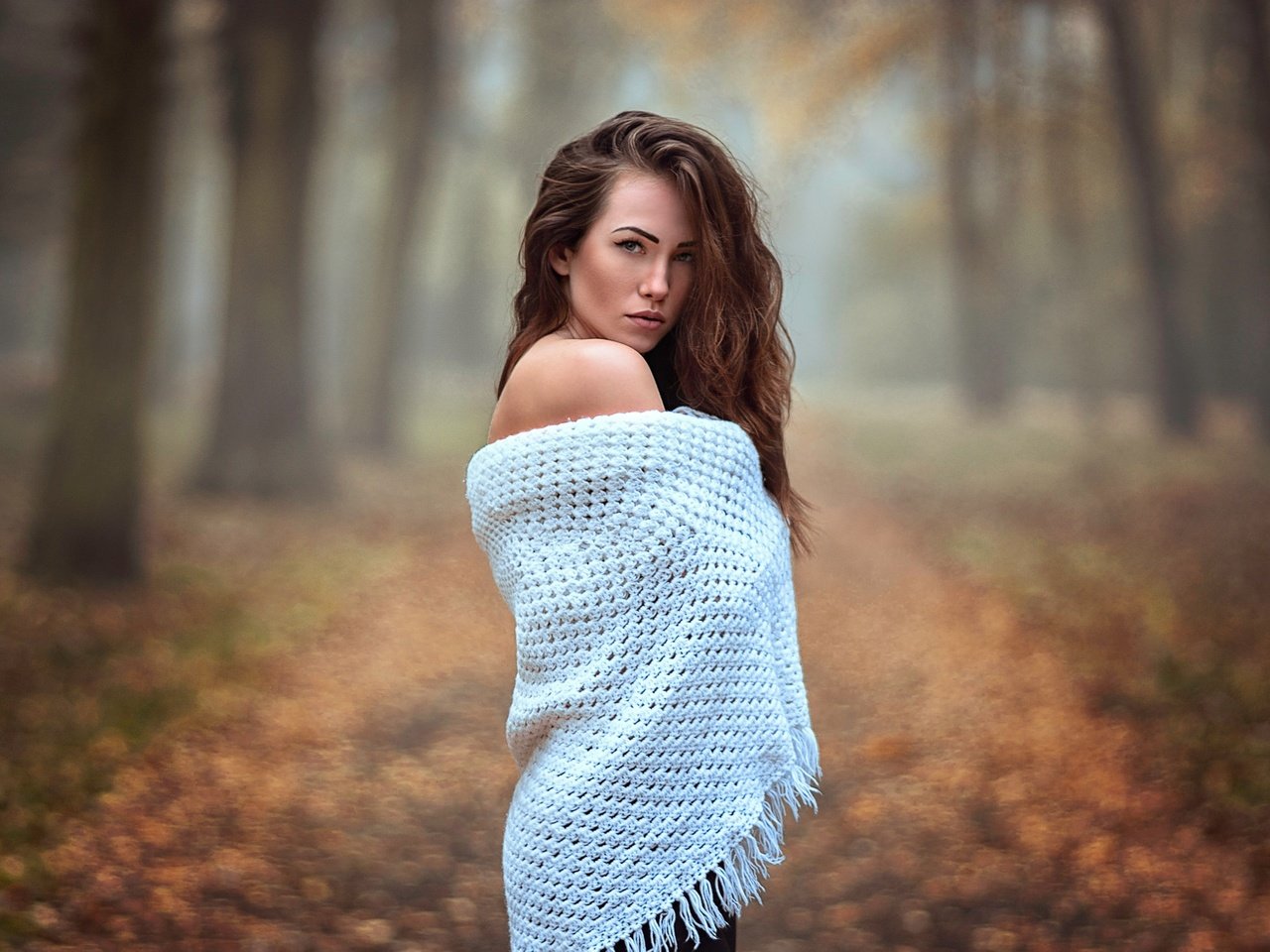 Обои природа, девушка, взгляд, осень, волосы, платок, nature, girl, look, autumn, hair, shawl разрешение 2048x1253 Загрузить