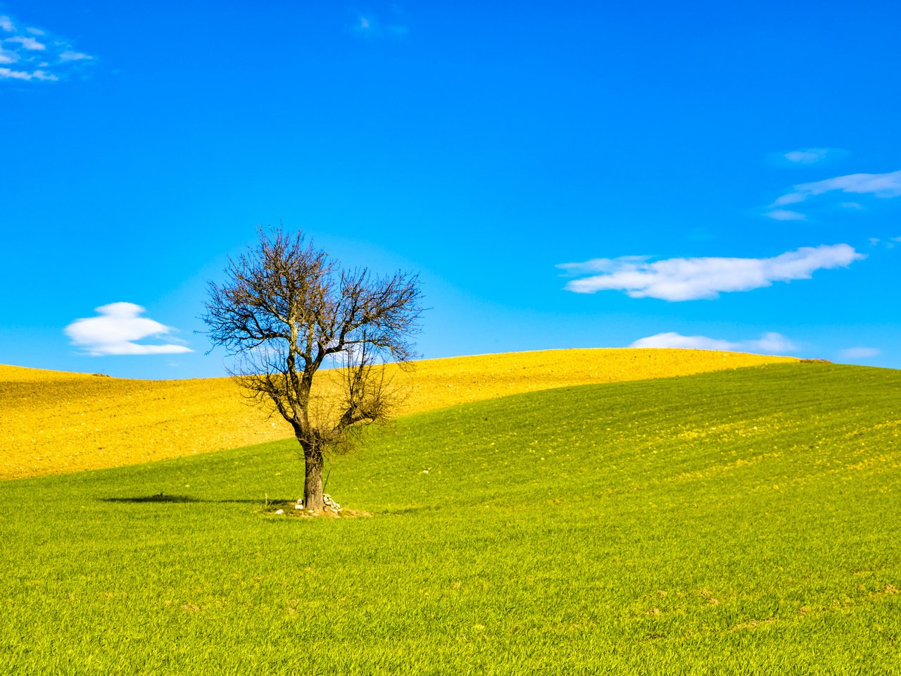 Обои небо, облака, холмы, природа, дерево, поле, италия, the sky, clouds, hills, nature, tree, field, italy разрешение 2048x1365 Загрузить