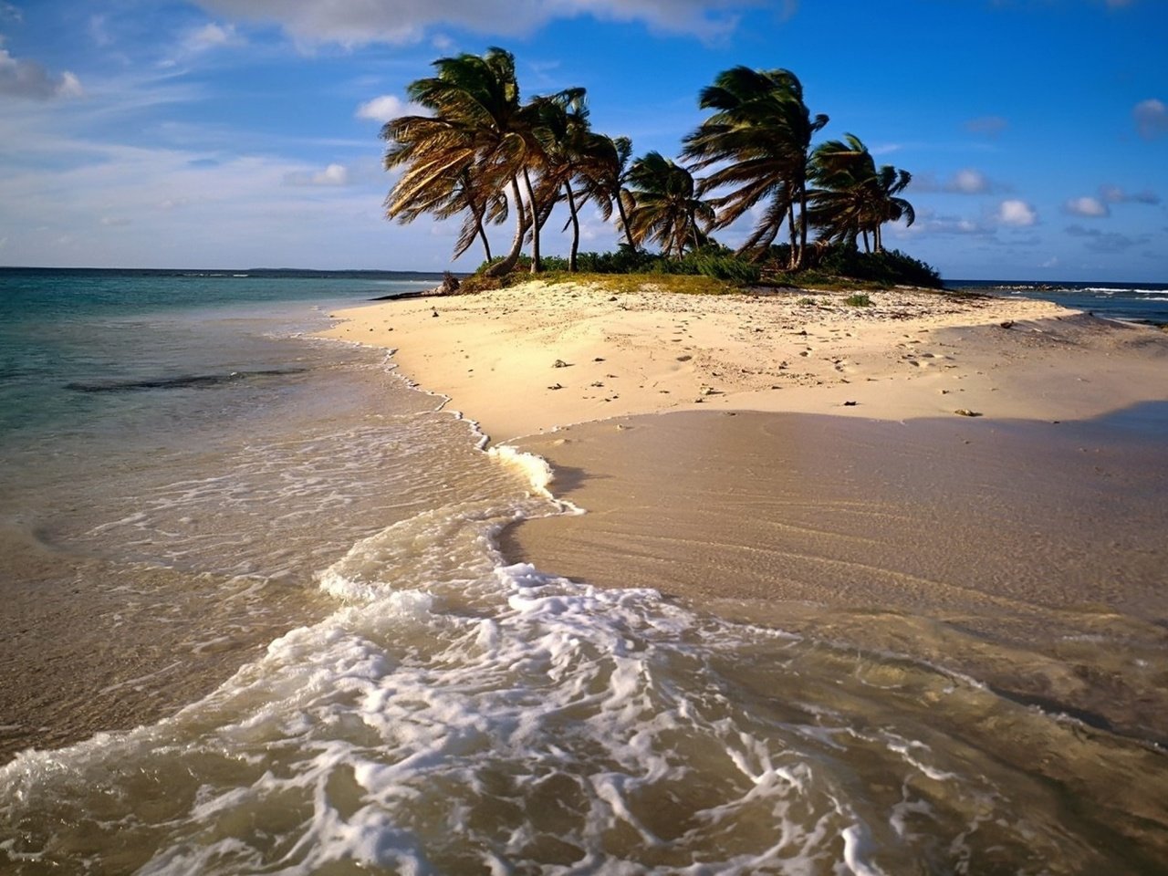Обои песок, пляж, пальмы, океан, остров, sand, beach, palm trees, the ocean, island разрешение 2560x1600 Загрузить