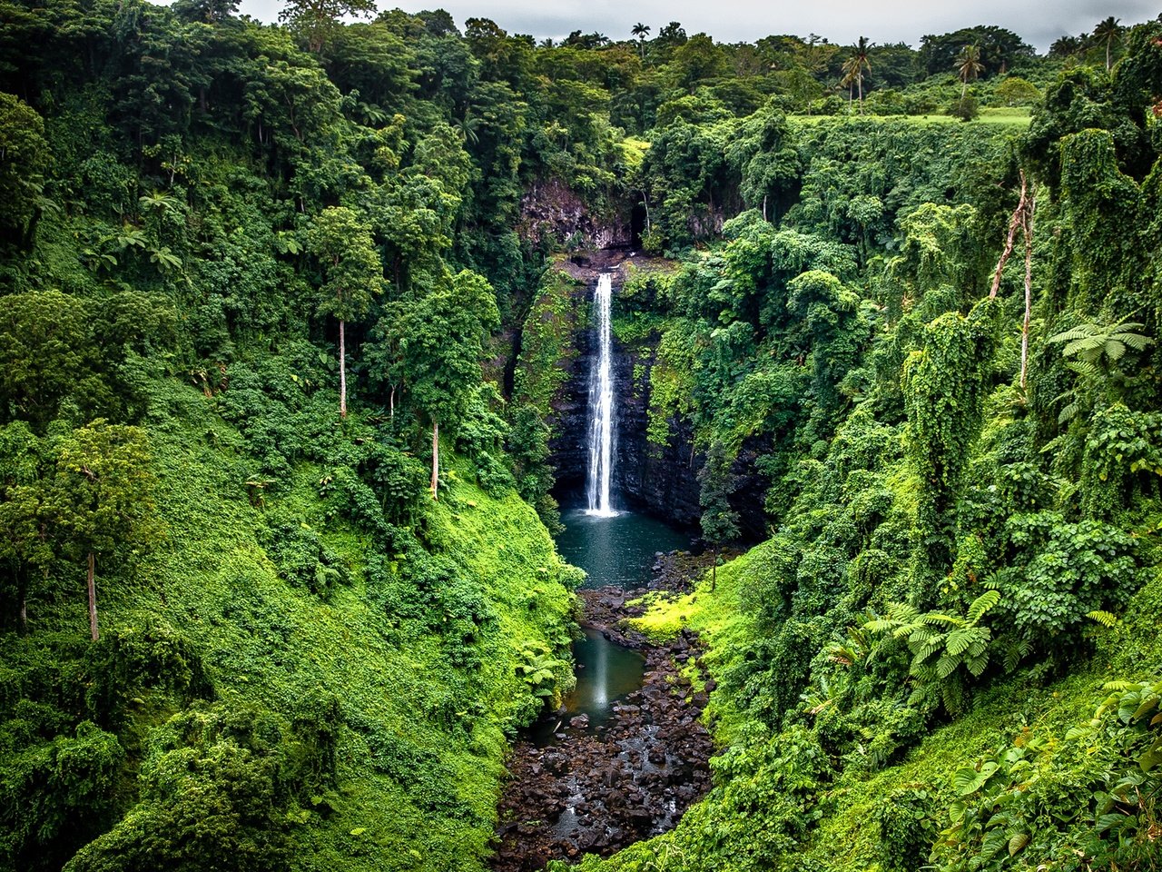 Обои деревья, samoa, камни, зелень, лес, скала, водопад, тропики, джунгли, trees, stones, greens, forest, rock, waterfall, tropics, jungle разрешение 1920x1361 Загрузить