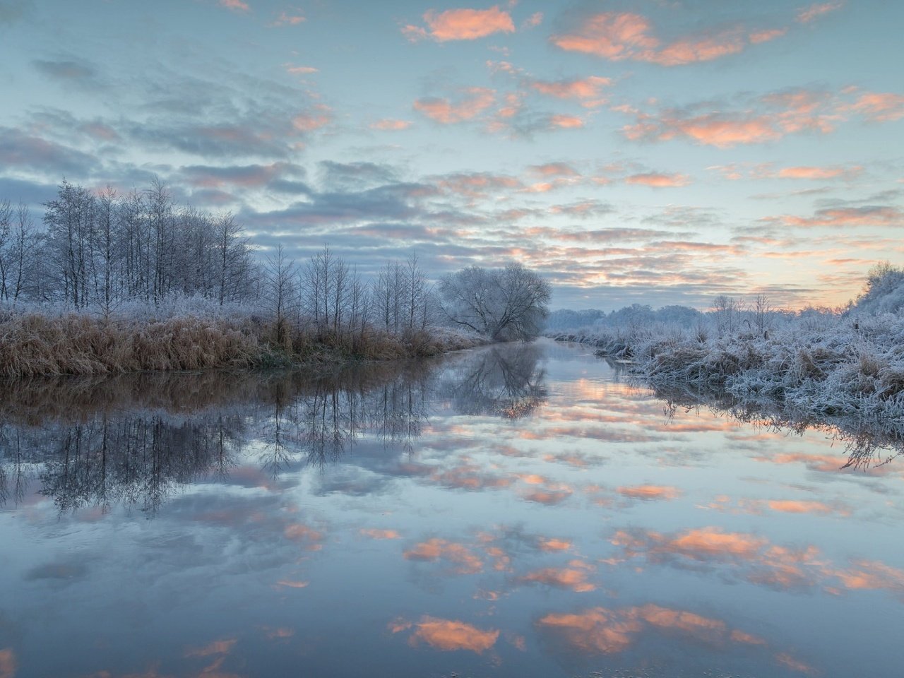 Обои небо, иней, облака, деревья, озеро, природа, лес, зима, пейзаж, the sky, frost, clouds, trees, lake, nature, forest, winter, landscape разрешение 1920x1200 Загрузить