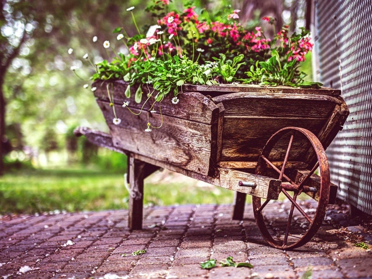 Обои цветы, сад, тележка, flowers, garden, truck разрешение 1920x1200 Загрузить