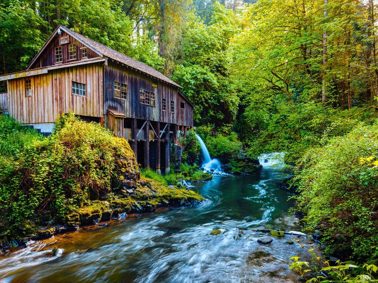 Обои деревья, река, природа, лес, водяная мельница, мельница., trees, river, nature, forest, water mill, mill. разрешение 1920x1200 Загрузить