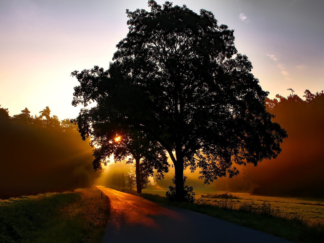 Обои дорога, природа, дерево, пейзаж, утро, рассвет, road, nature, tree, landscape, morning, dawn разрешение 1920x1200 Загрузить