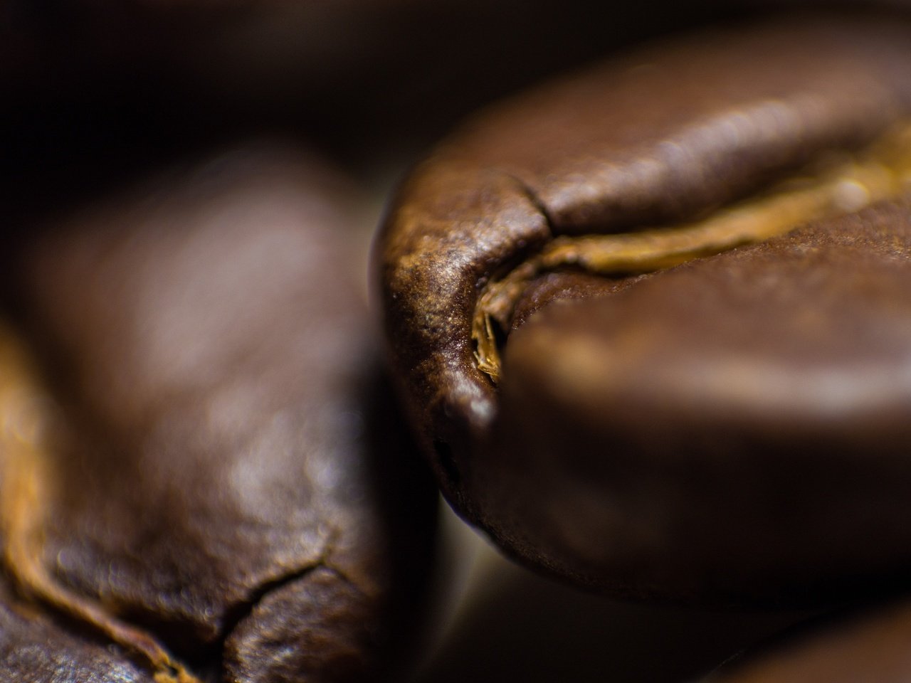 Обои кофе, кофейные зерна, крупным планом, coffee, coffee beans, closeup разрешение 4608x3072 Загрузить