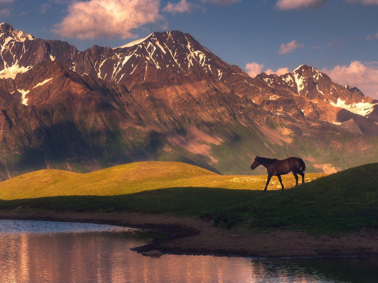 Обои лошадь, озеро, горы, природа, конь, horse, lake, mountains, nature разрешение 1942x1300 Загрузить