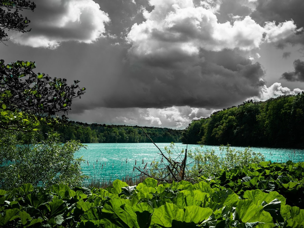 Обои облака, деревья, вода, озеро, растения, clouds, trees, water, lake, plants разрешение 2048x1194 Загрузить