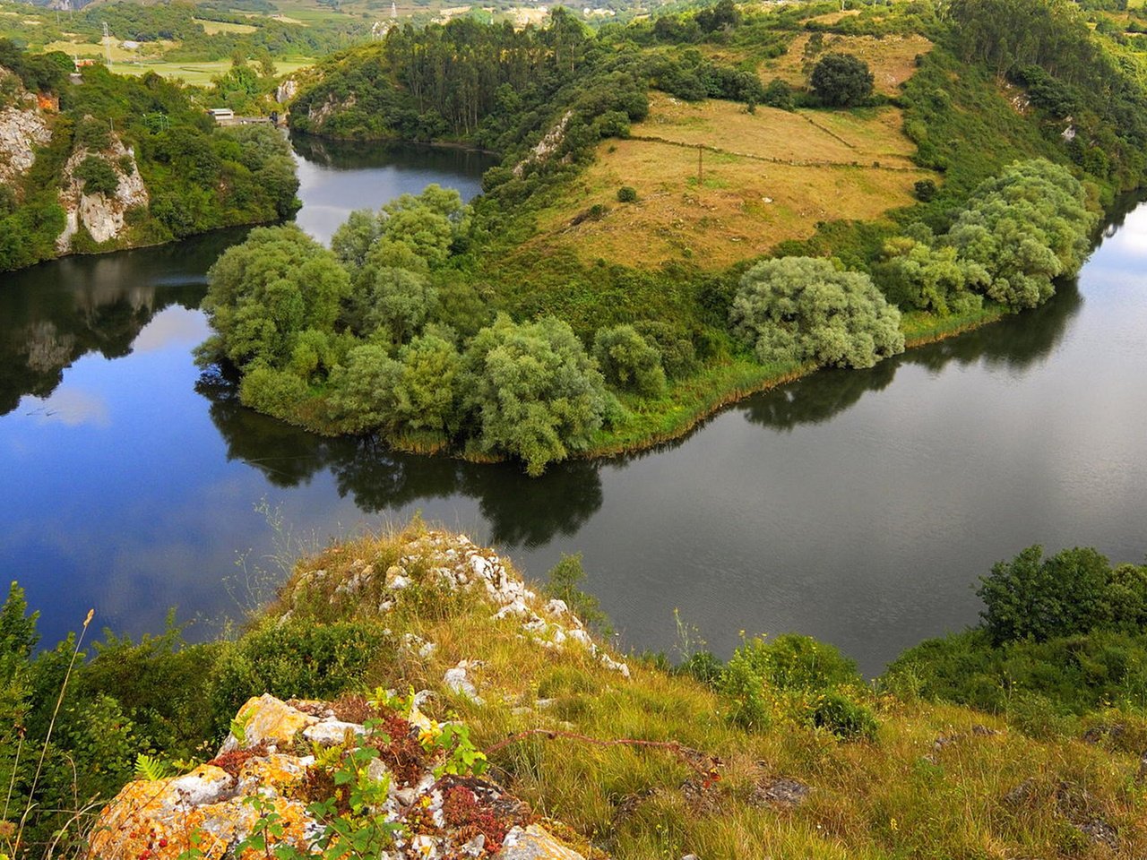 Обои река, природа, пейзаж, кусты, river, nature, landscape, the bushes разрешение 1920x1080 Загрузить