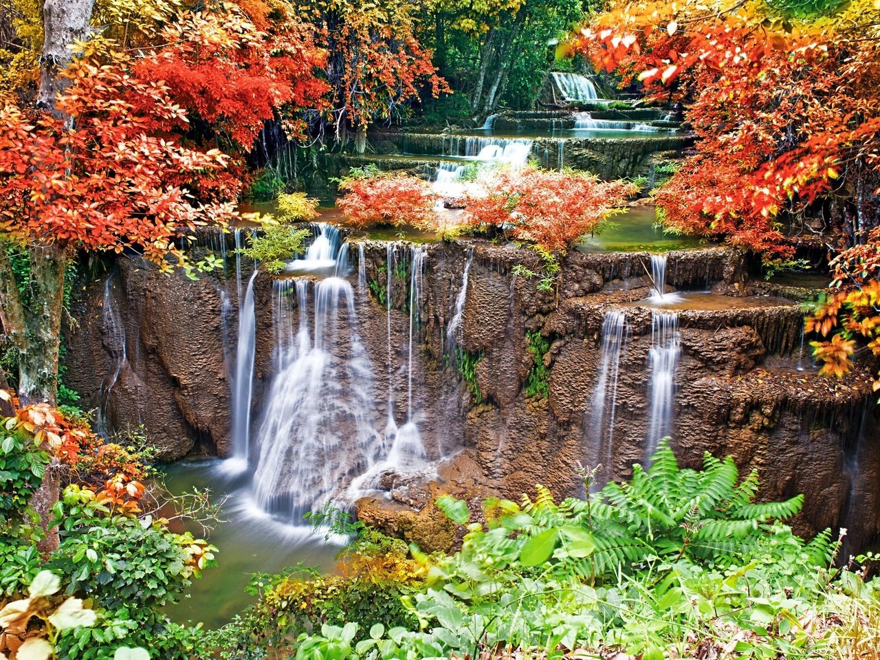 Обои деревья, вода, камни, листья, водопад, осень, мох, trees, water, stones, leaves, waterfall, autumn, moss разрешение 2560x1600 Загрузить