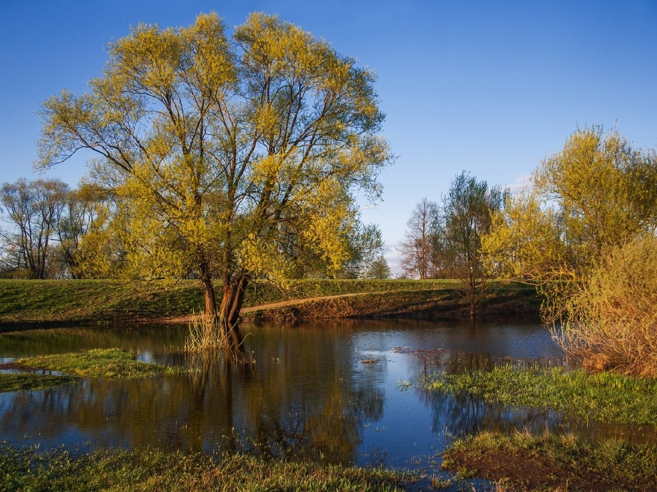 Обои деревья, река, природа, листья, осень, trees, river, nature, leaves, autumn разрешение 1920x1301 Загрузить