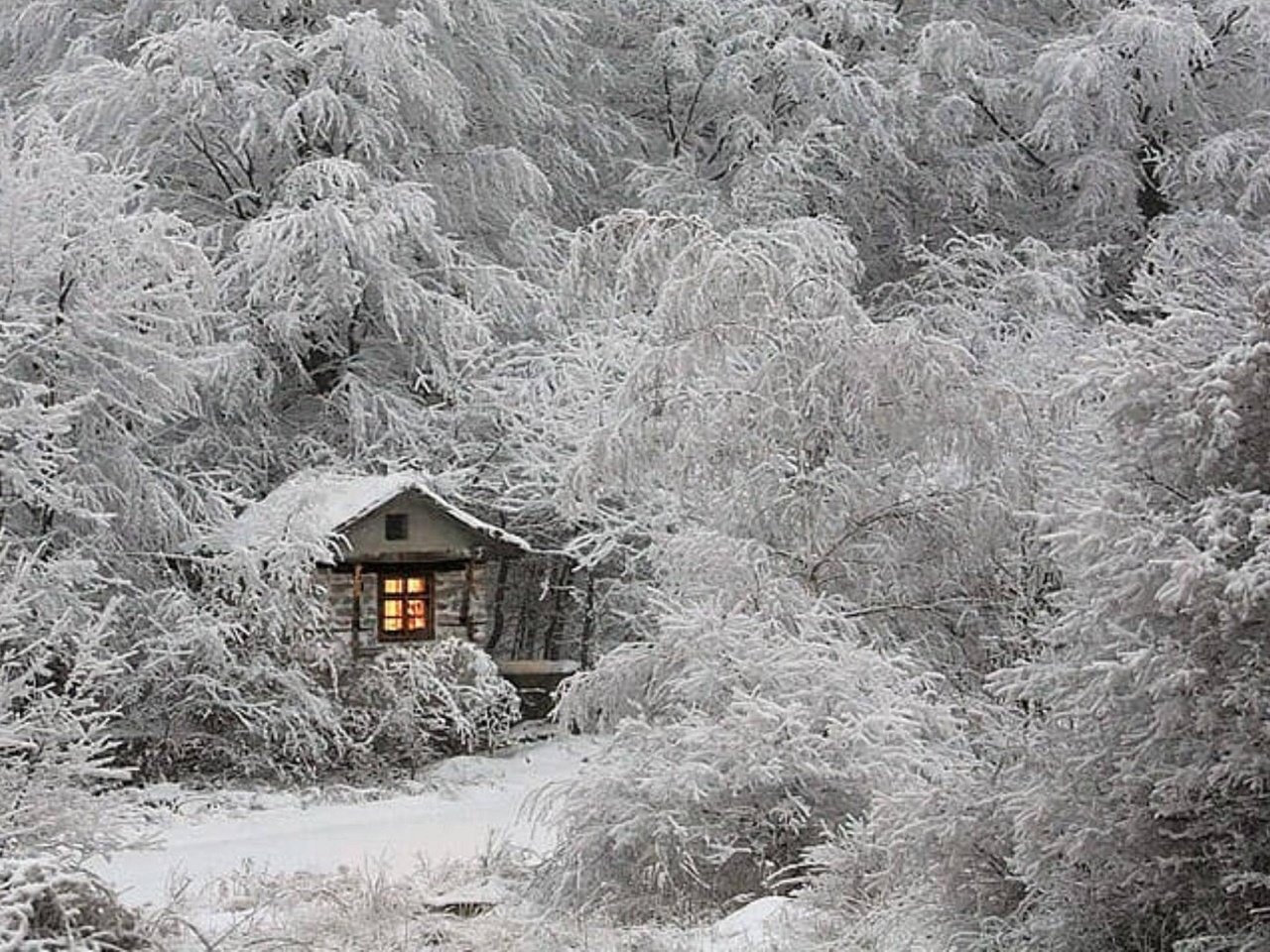 Обои деревья, снег, лес, зима, ветки, иней, домик, окно, trees, snow, forest, winter, branches, frost, house, window разрешение 1920x1080 Загрузить