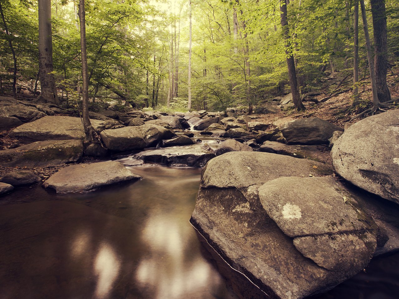 Обои река, природа, камни, лес, river, nature, stones, forest разрешение 2880x1800 Загрузить