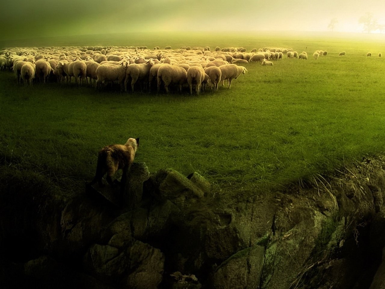 Обои зелень, пейзаж, собака, овцы, стадо, пастух, бараны, greens, landscape, dog, sheep, the herd, shepherd разрешение 1920x1080 Загрузить