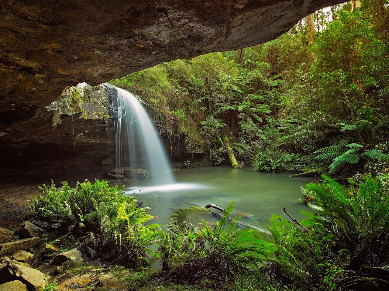 Обои деревья, скалы, природа, лес, водопад, тропики, trees, rocks, nature, forest, waterfall, tropics разрешение 2048x1365 Загрузить