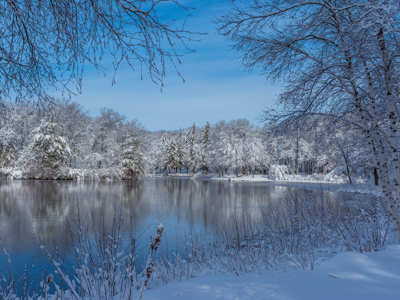 Обои озеро, штат массачусетс, снег, природа, дерево, зима, пейзаж, парк, сша, lake, massachusetts, snow, nature, tree, winter, landscape, park, usa разрешение 5763x3842 Загрузить