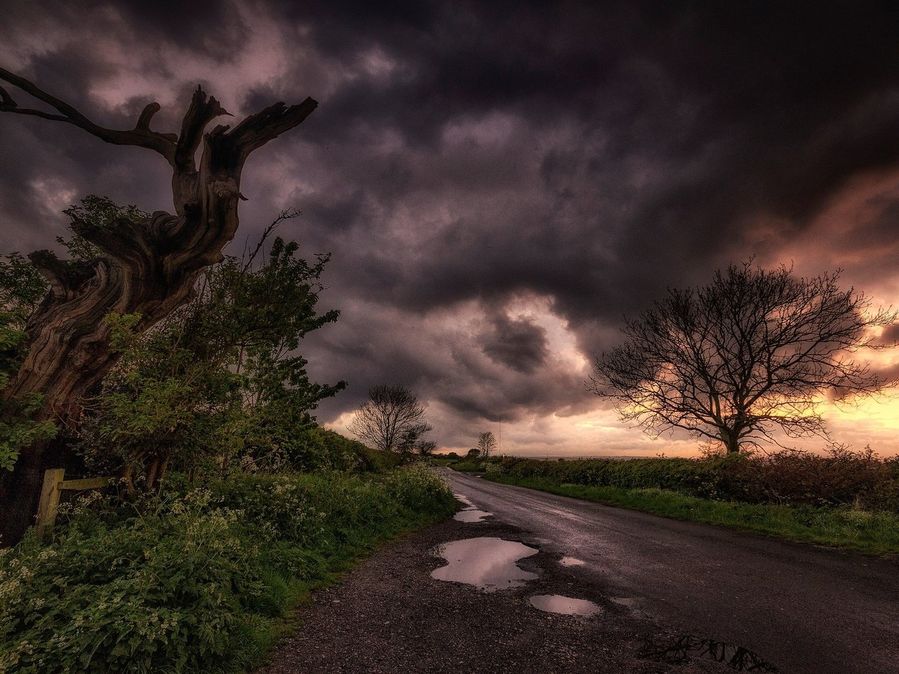 Обои дорога, облака, дерево, тучи, пейзаж, лужа, road, clouds, tree, landscape, puddle разрешение 2048x1267 Загрузить