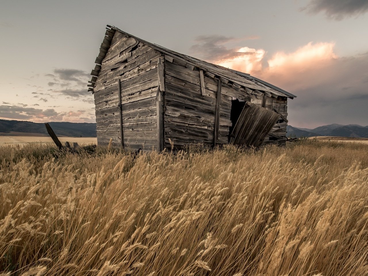 Обои небо, трава, облака, поле, дом, колоски, сарай, the sky, grass, clouds, field, house, spikelets, the barn разрешение 2010x1385 Загрузить