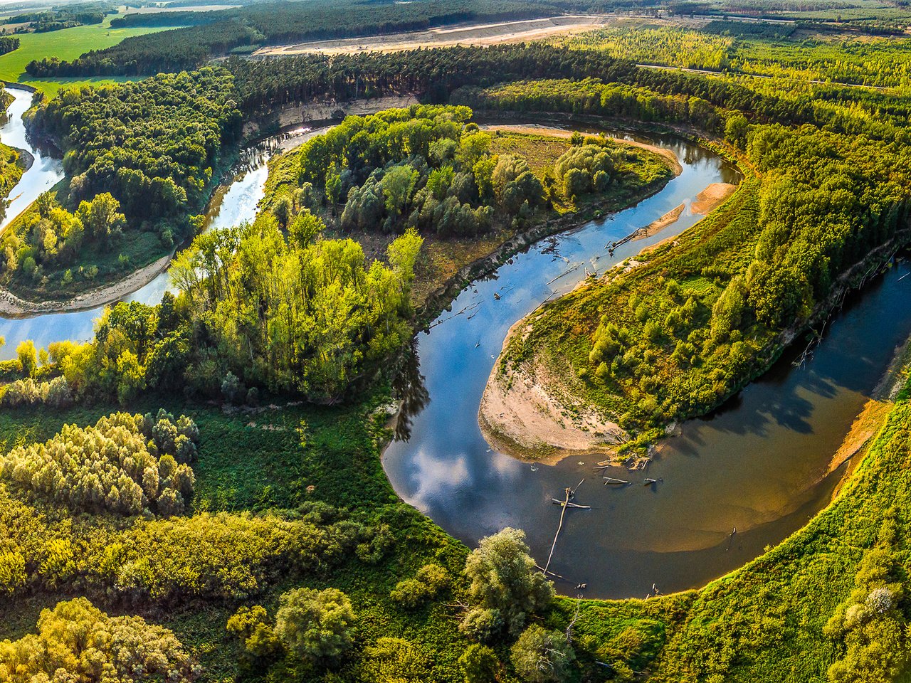 Обои деревья, леса, чехия, река, morava, солнце, straznice, зелень, лес, поля, лето, панорама, trees, czech republic, river, the sun, greens, forest, field, summer, panorama разрешение 2500x1188 Загрузить