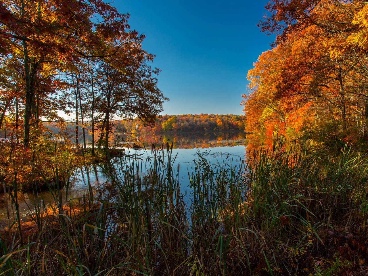 Обои трава, ice lakes, деревья, озеро, природа, осень, сша, колорадо, осень. озеро, grass, trees, lake, nature, autumn, usa, colorado, autumn. lake разрешение 3600x2200 Загрузить