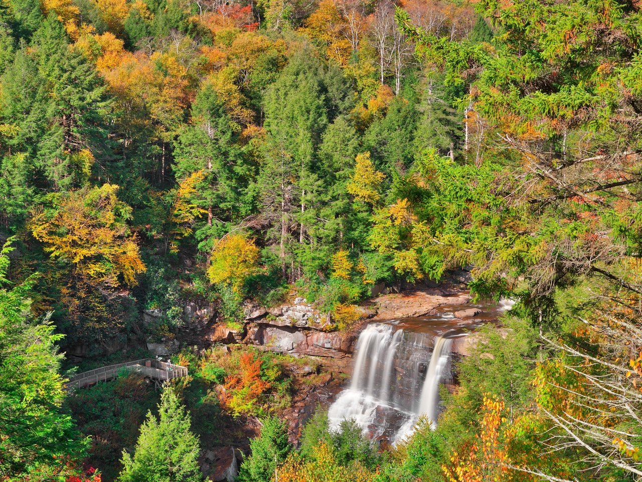 Обои деревья, лес, водопад, осень, trees, forest, waterfall, autumn разрешение 4000x2667 Загрузить