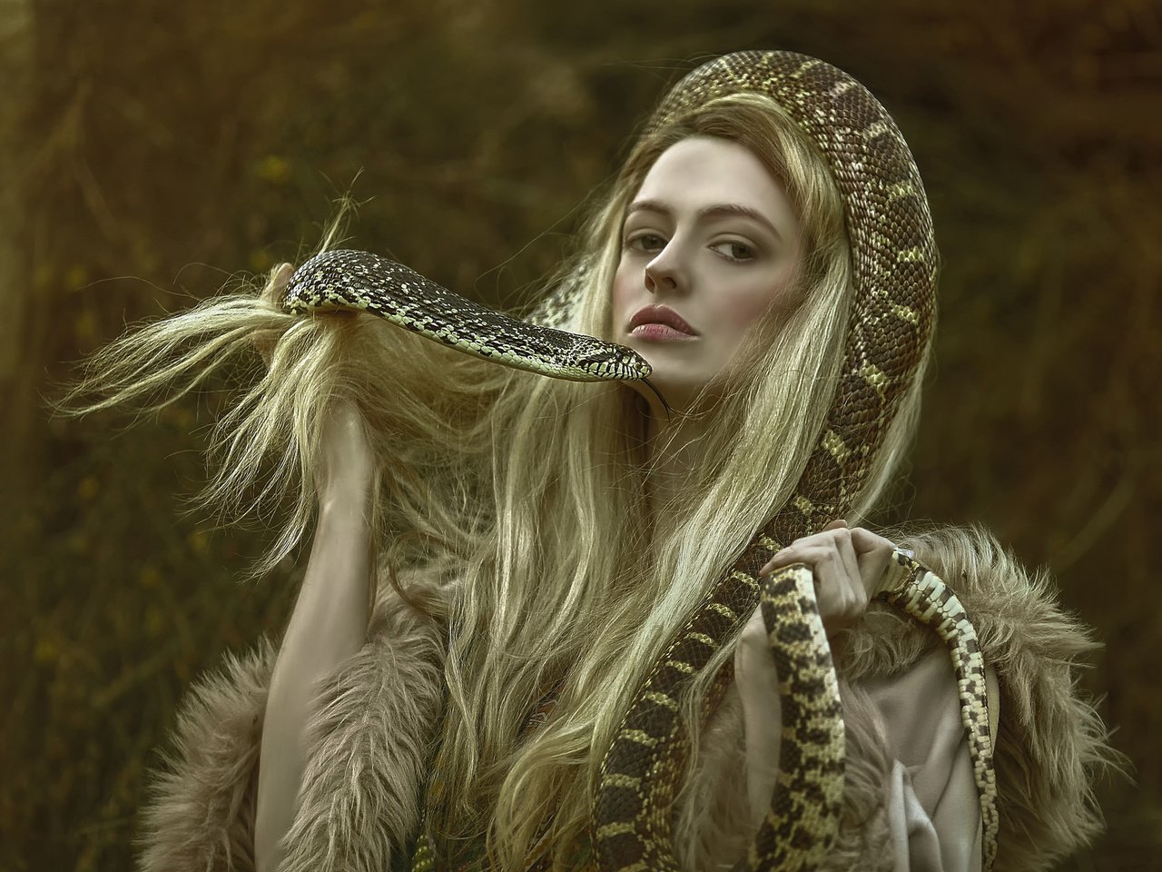 Обои девушка, фэнтези, змея, волосы, персонаж, фотосессия, agnieszka lorek, girl, fantasy, snake, hair, character, photoshoot разрешение 2048x1618 Загрузить