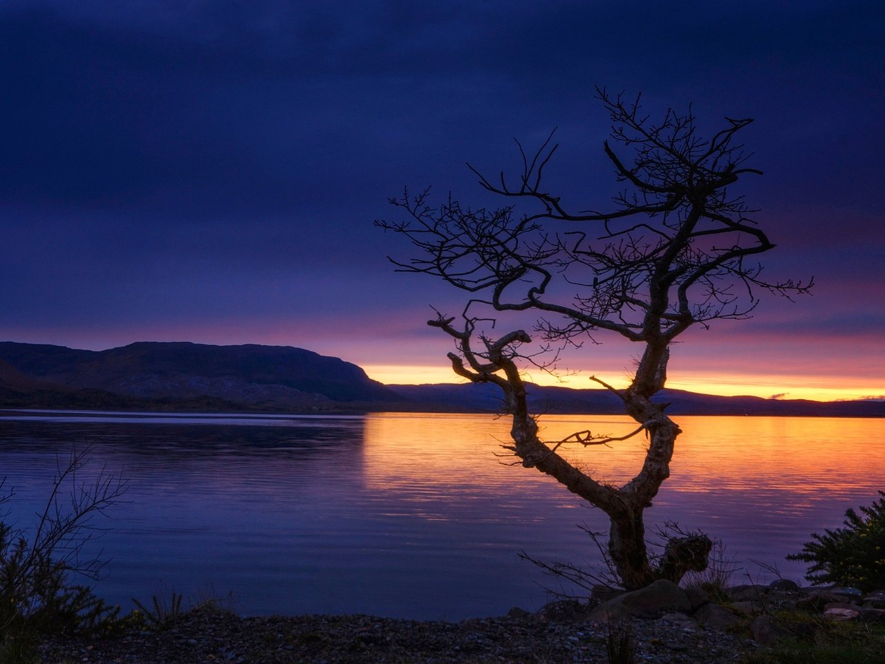 Обои озеро, горы, дерево, шотландия, lake, mountains, tree, scotland разрешение 2048x1340 Загрузить