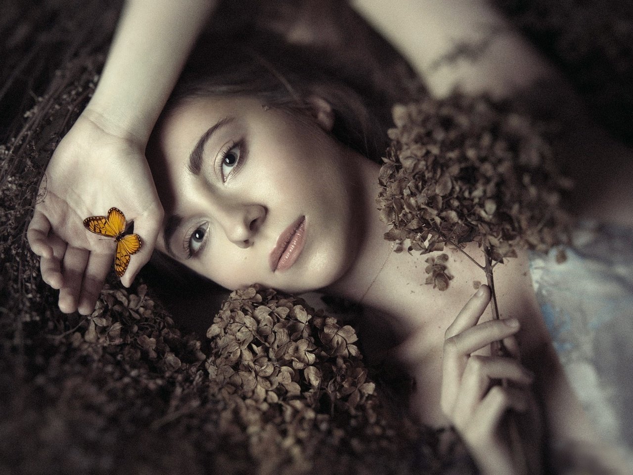 Обои цветы, девушка, портрет, бабочка, модель, фотосессия, ania, flowers, girl, portrait, butterfly, model, photoshoot разрешение 2000x1333 Загрузить