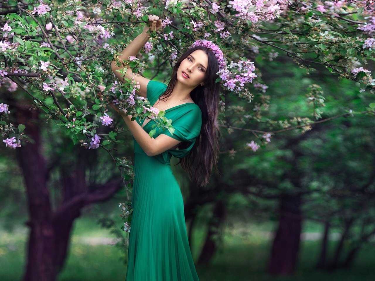 Обои дерево, цветение, платье, брюнетка, весна, венок, tree, flowering, dress, brunette, spring, wreath разрешение 1920x1080 Загрузить