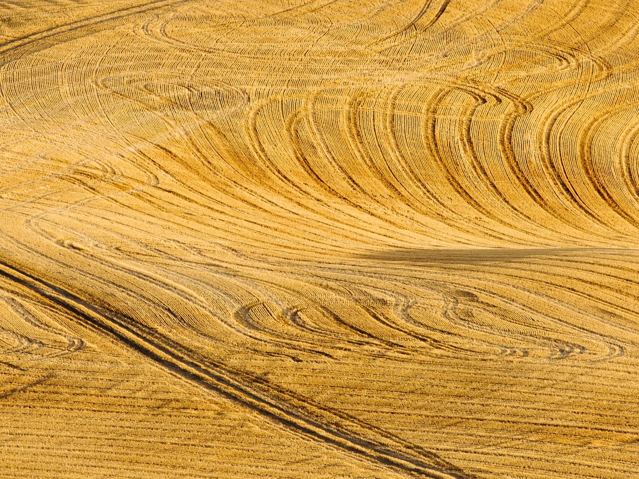 Обои дорога, пейзаж, поле, road, landscape, field разрешение 5459x2730 Загрузить