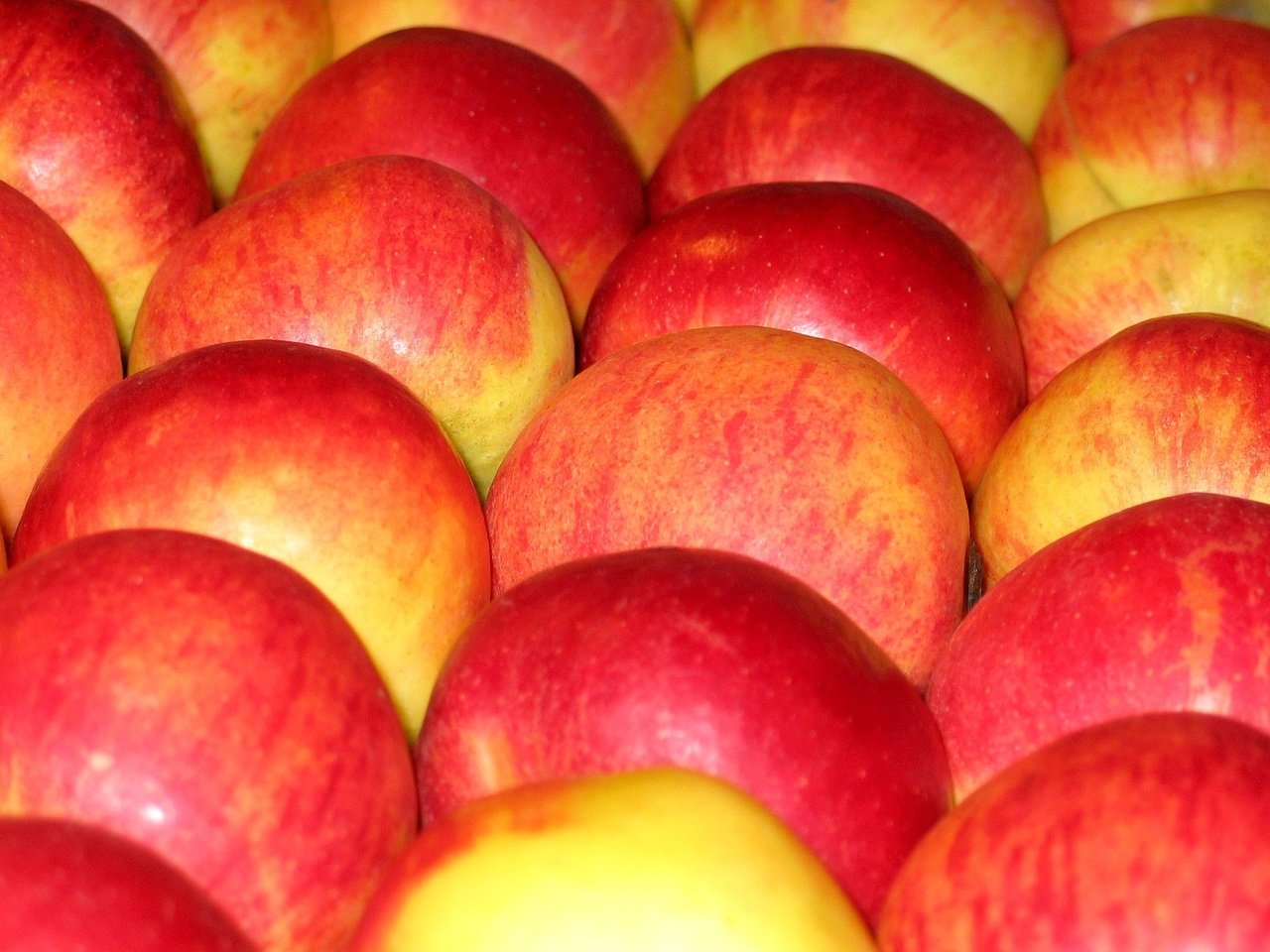 Обои фрукты, яблоки, плоды, fruit, apples разрешение 2272x1704 Загрузить
