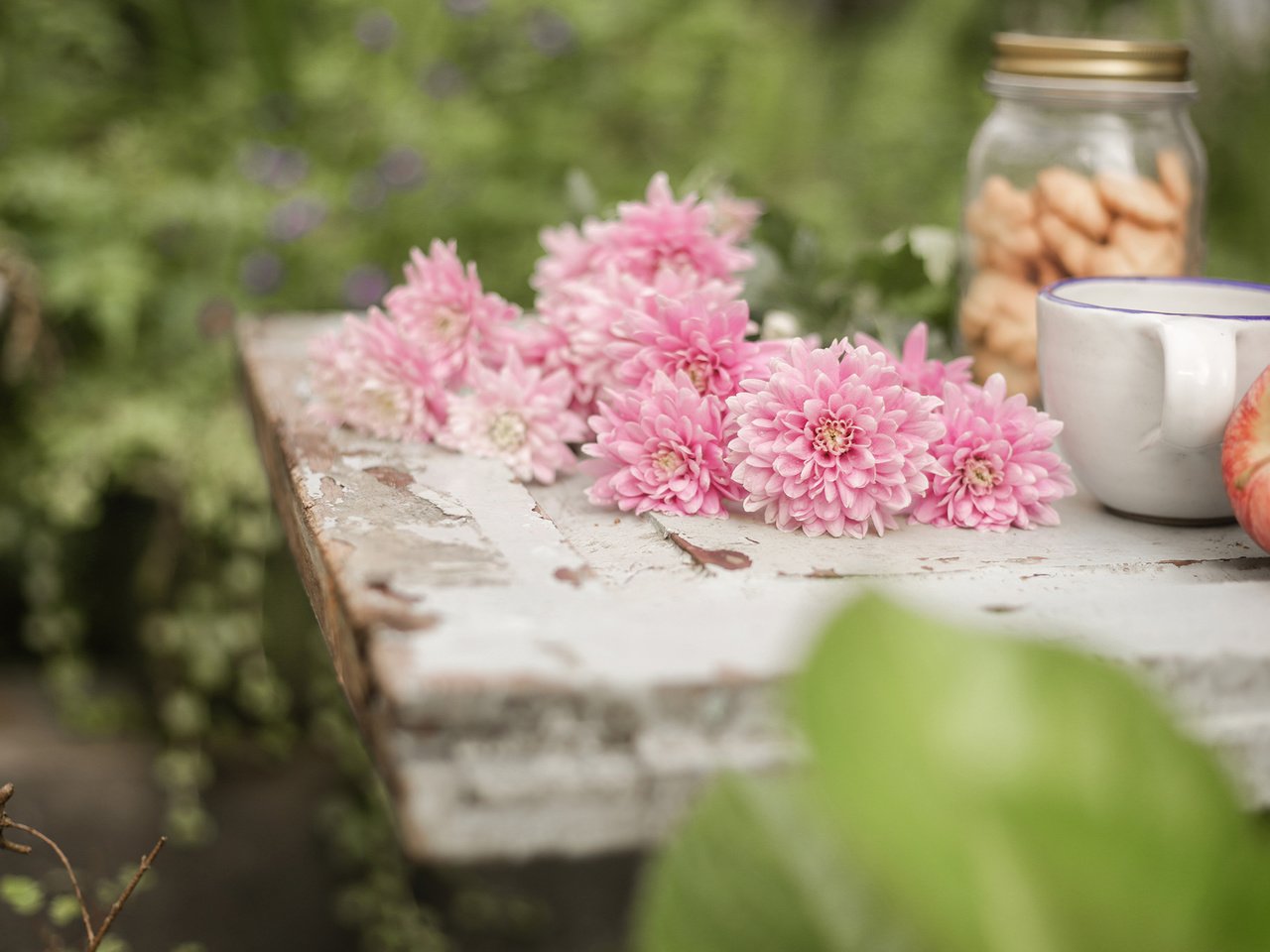 Обои цветы, фрукты, яблоки, чашки, натюрморт, астры, flowers, fruit, apples, cup, still life, asters разрешение 2560x1600 Загрузить