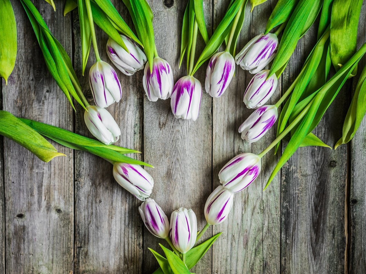 Обои цветы, сердце, доски, тюльпаны, flowers, heart, board, tulips разрешение 2048x1365 Загрузить