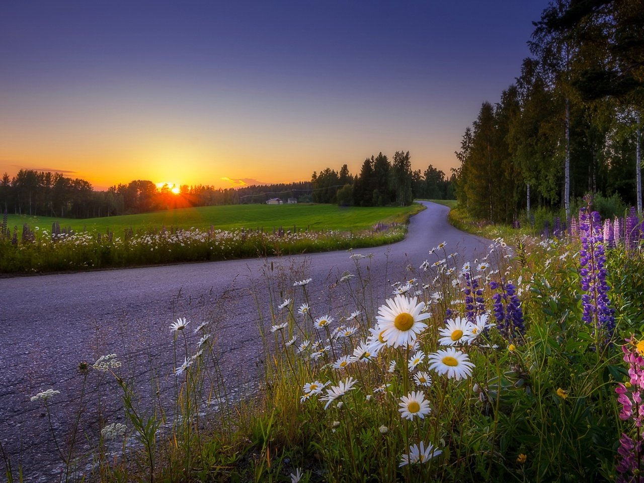Обои дорога, цветы, деревья, закат, пейзаж, поле, полевые цветы, финляндия, road, flowers, trees, sunset, landscape, field, wildflowers, finland разрешение 1920x1081 Загрузить