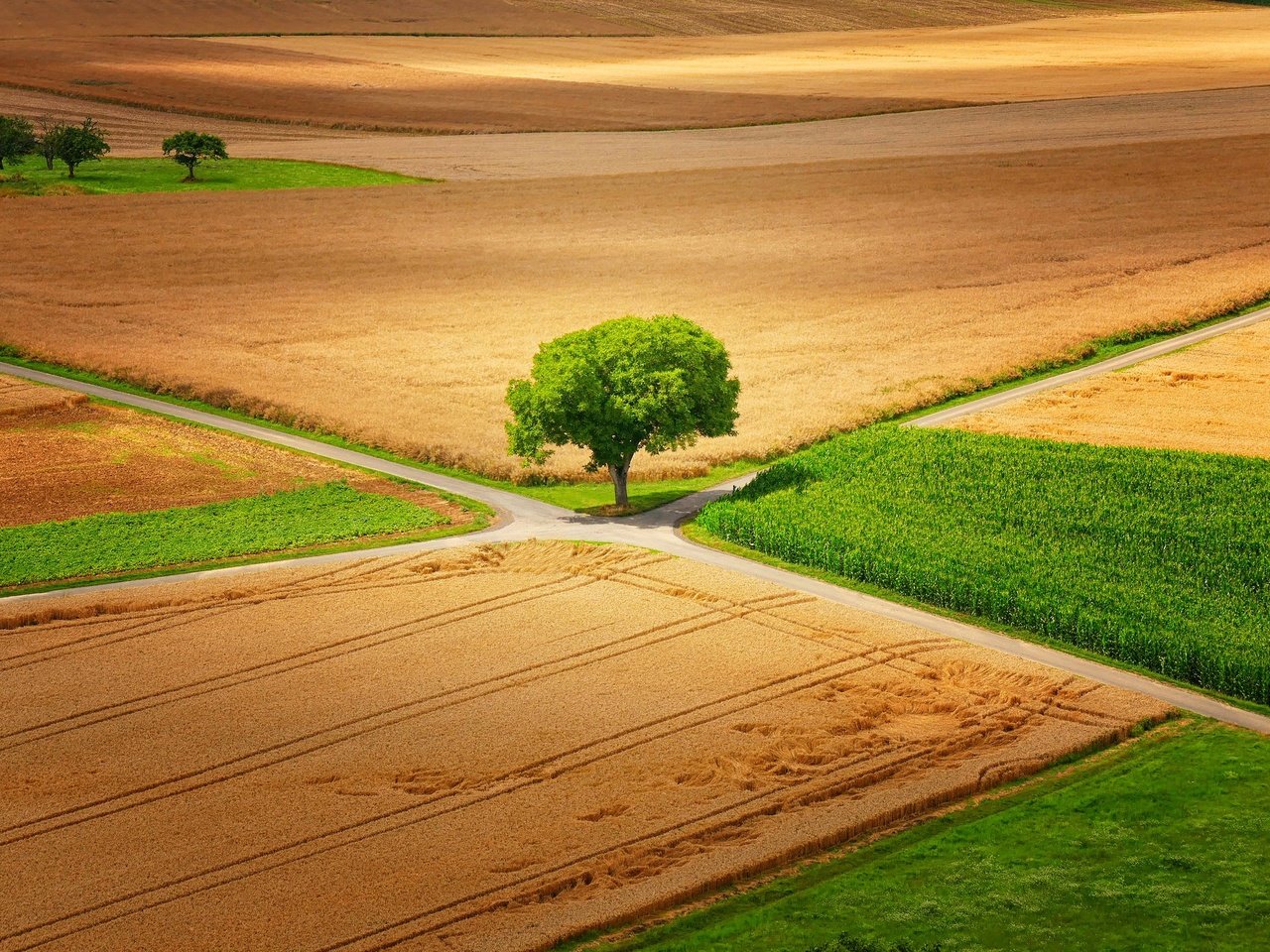 Обои природа, дерево, пейзаж, поле, дороги, германия, little♥krawler, гессен, nature, tree, landscape, field, road, germany, hessen разрешение 2048x1365 Загрузить