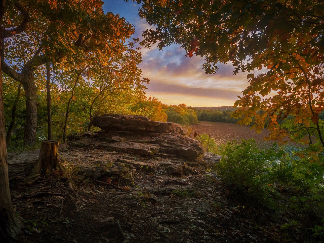 Обои природа, лес, парк, осень, nature, forest, park, autumn разрешение 1920x1200 Загрузить