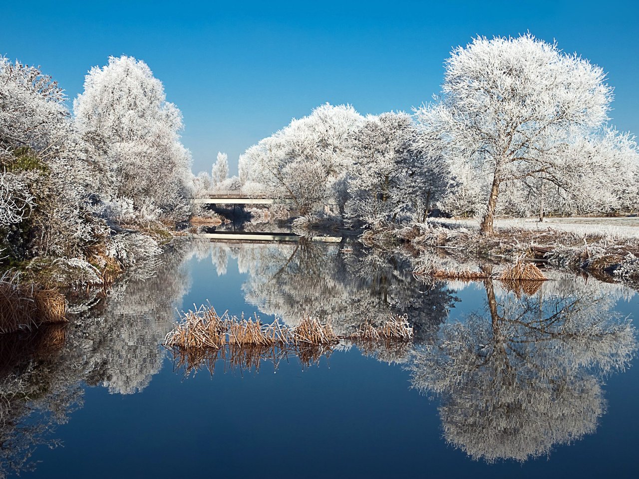 Обои деревья, пруд, озеро, природа, зима, отражение, пейзаж, парк, иней, trees, pond, lake, nature, winter, reflection, landscape, park, frost разрешение 2560x1600 Загрузить