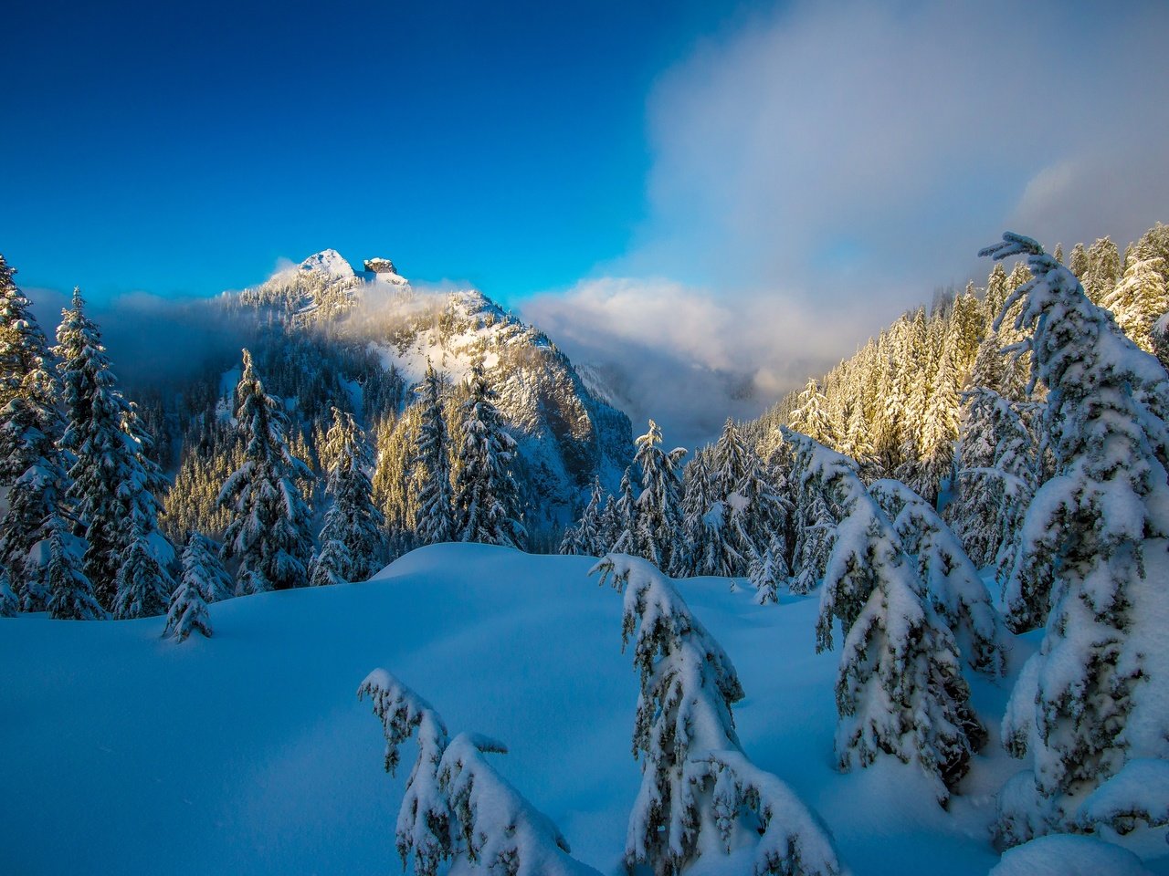 Обои небо, деревья, горы, снег, природа, лес, зима, солнечный день, the sky, trees, mountains, snow, nature, forest, winter, sunny day разрешение 3600x2400 Загрузить