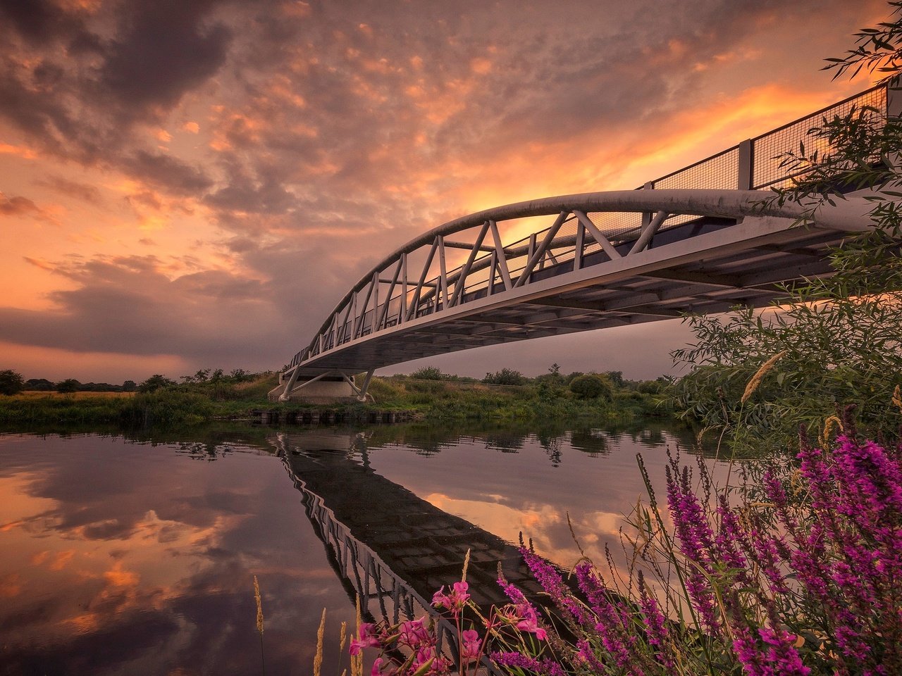 Обои небо, цветы, облака, река, отражение, мост, the sky, flowers, clouds, river, reflection, bridge разрешение 2048x1267 Загрузить