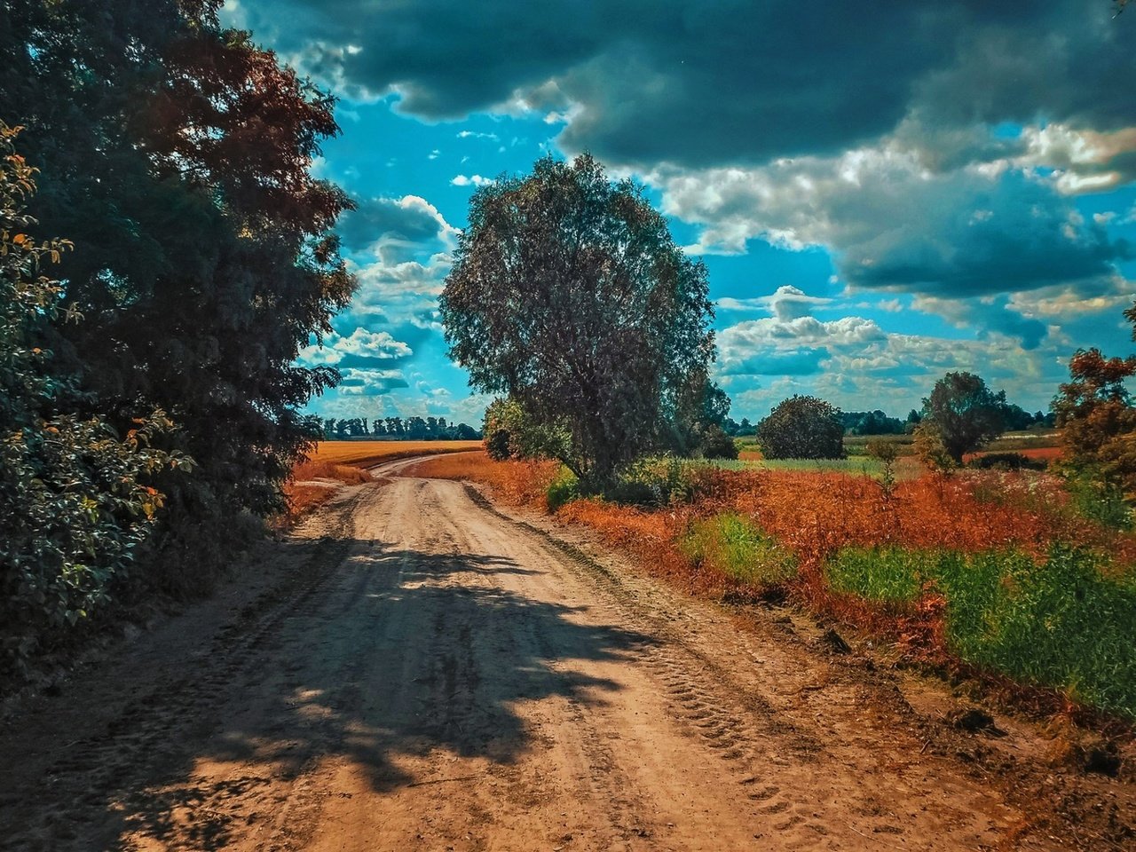 Обои небо, дорога, облака, деревья, природа, пейзаж, the sky, road, clouds, trees, nature, landscape разрешение 1920x1098 Загрузить