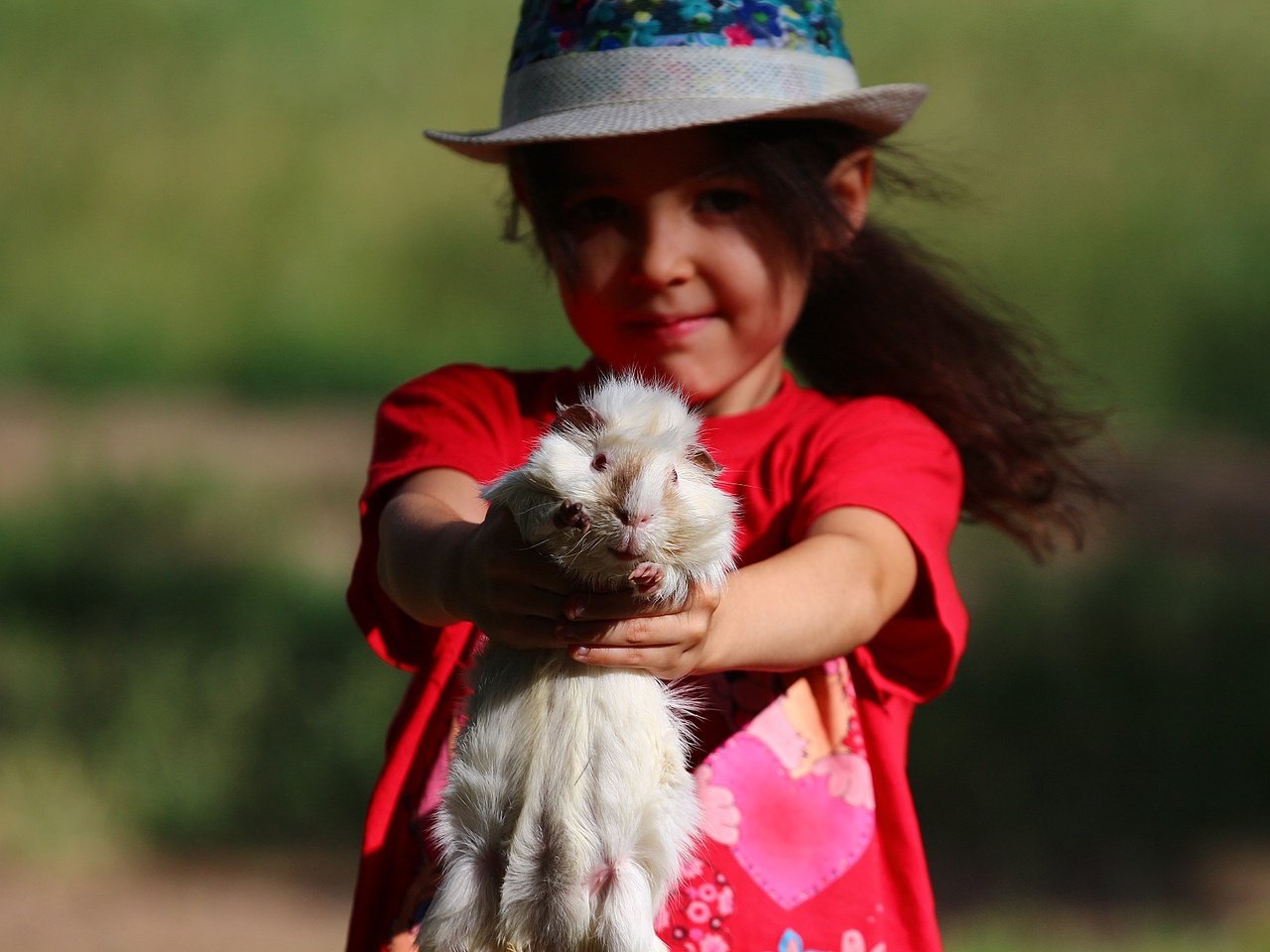 Обои взгляд, девочка, ребенок, животное, шляпа, морская свинка, look, girl, child, animal, hat, guinea pig разрешение 1920x1280 Загрузить