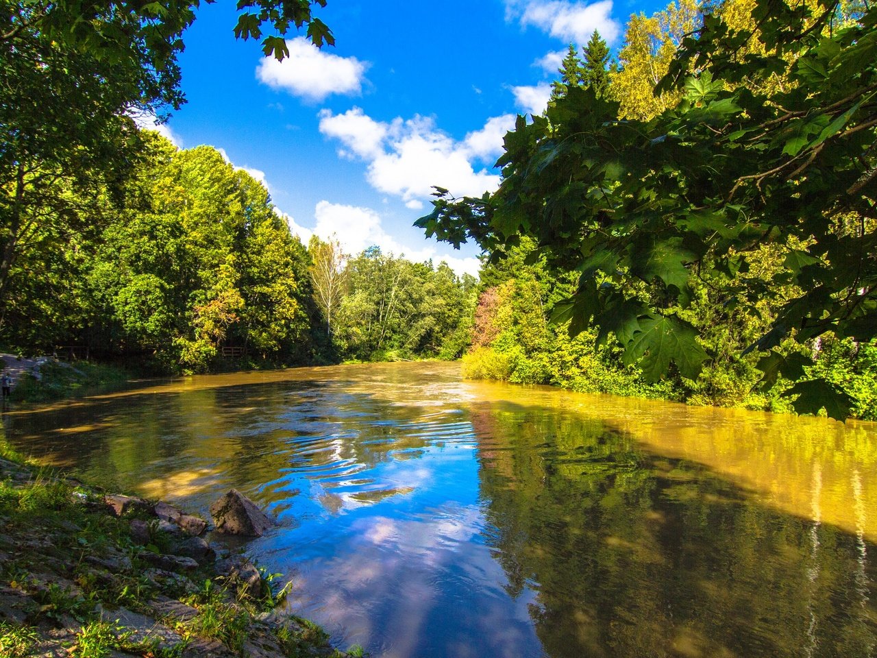 Обои небо, облака, деревья, река, природа, пейзаж, the sky, clouds, trees, river, nature, landscape разрешение 2048x1365 Загрузить