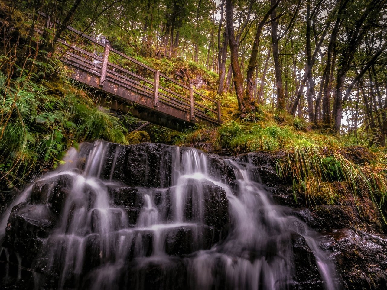 Обои скалы, лес, мост, водопад, уэльс, истрадфеллт, rocks, forest, bridge, waterfall, wales, ystradfellte разрешение 2048x1152 Загрузить