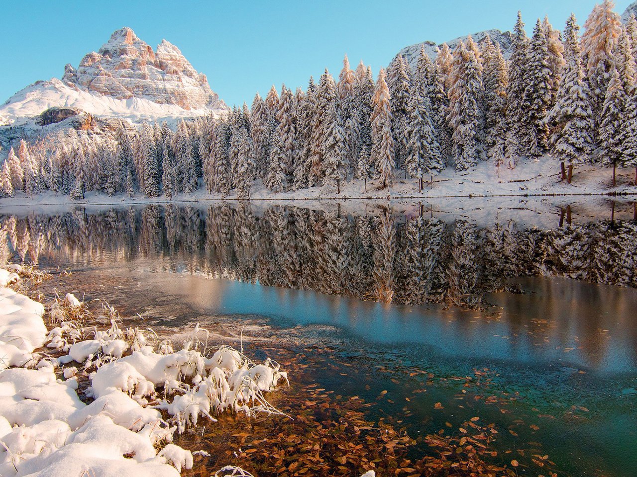 Обои деревья, река, горы, снег, природа, лес, зима, отражение, trees, river, mountains, snow, nature, forest, winter, reflection разрешение 1920x1200 Загрузить