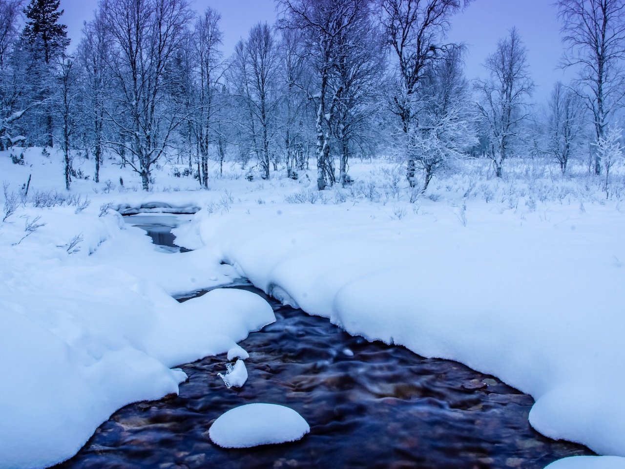 Обои деревья, река, снег, природа, лес, зима, trees, river, snow, nature, forest, winter разрешение 1920x1200 Загрузить