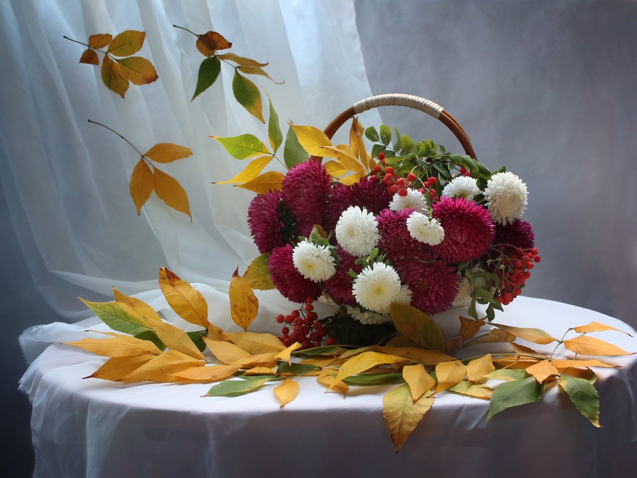 Обои цветы, листья, осень, натюрморт, рябина, астры, flowers, leaves, autumn, still life, rowan, asters разрешение 2728x2037 Загрузить