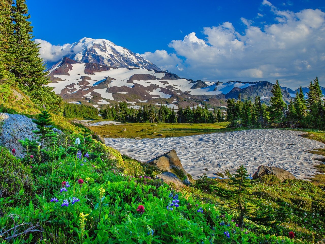 Обои цветы, деревья, горы, снег, сша, штат вашингтон, flowers, trees, mountains, snow, usa, washington разрешение 2048x1470 Загрузить