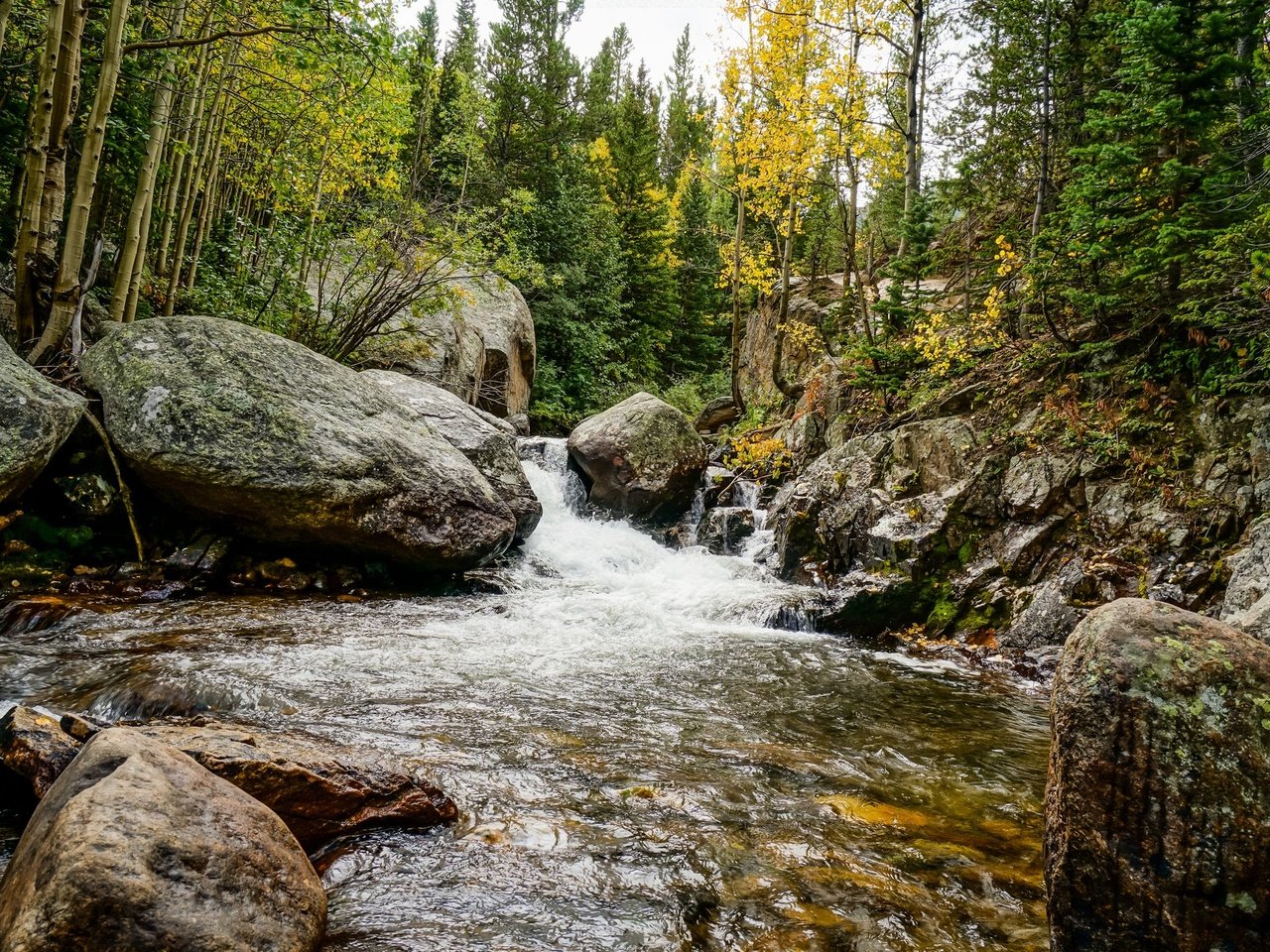 Обои деревья, река, камни, лес, осень, поток, trees, river, stones, forest, autumn, stream разрешение 2048x1365 Загрузить