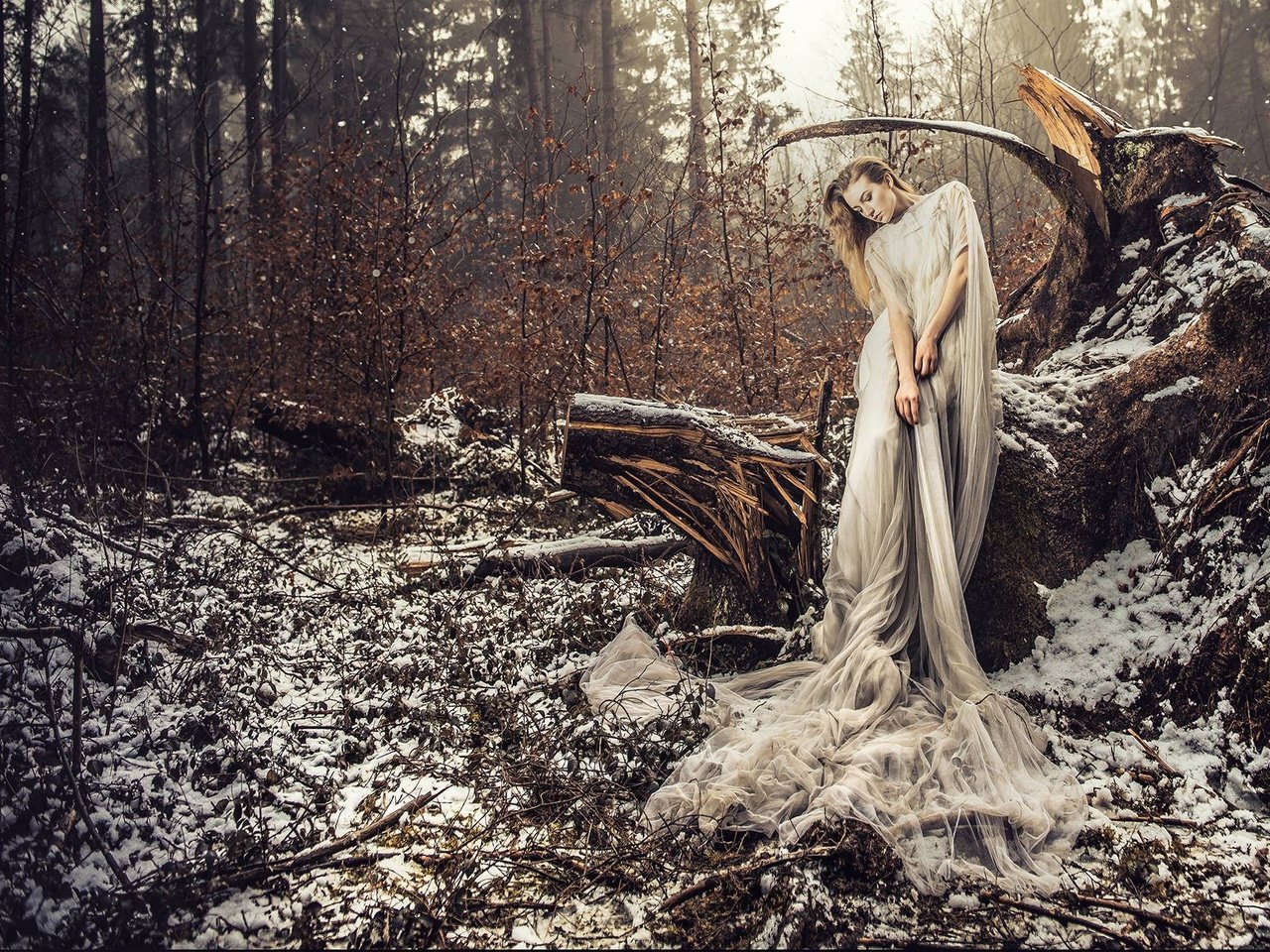 Обои снег, лес, девушка, платье, поза, ситуация, коряга, voodoo wonderland, snow, forest, girl, dress, pose, the situation, snag разрешение 2000x1333 Загрузить